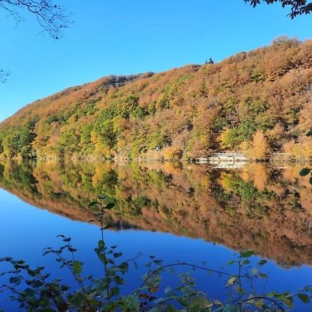 Ferienhaus &#039Freund Am See&#039 3 ハイムバッハ エクステリア 写真