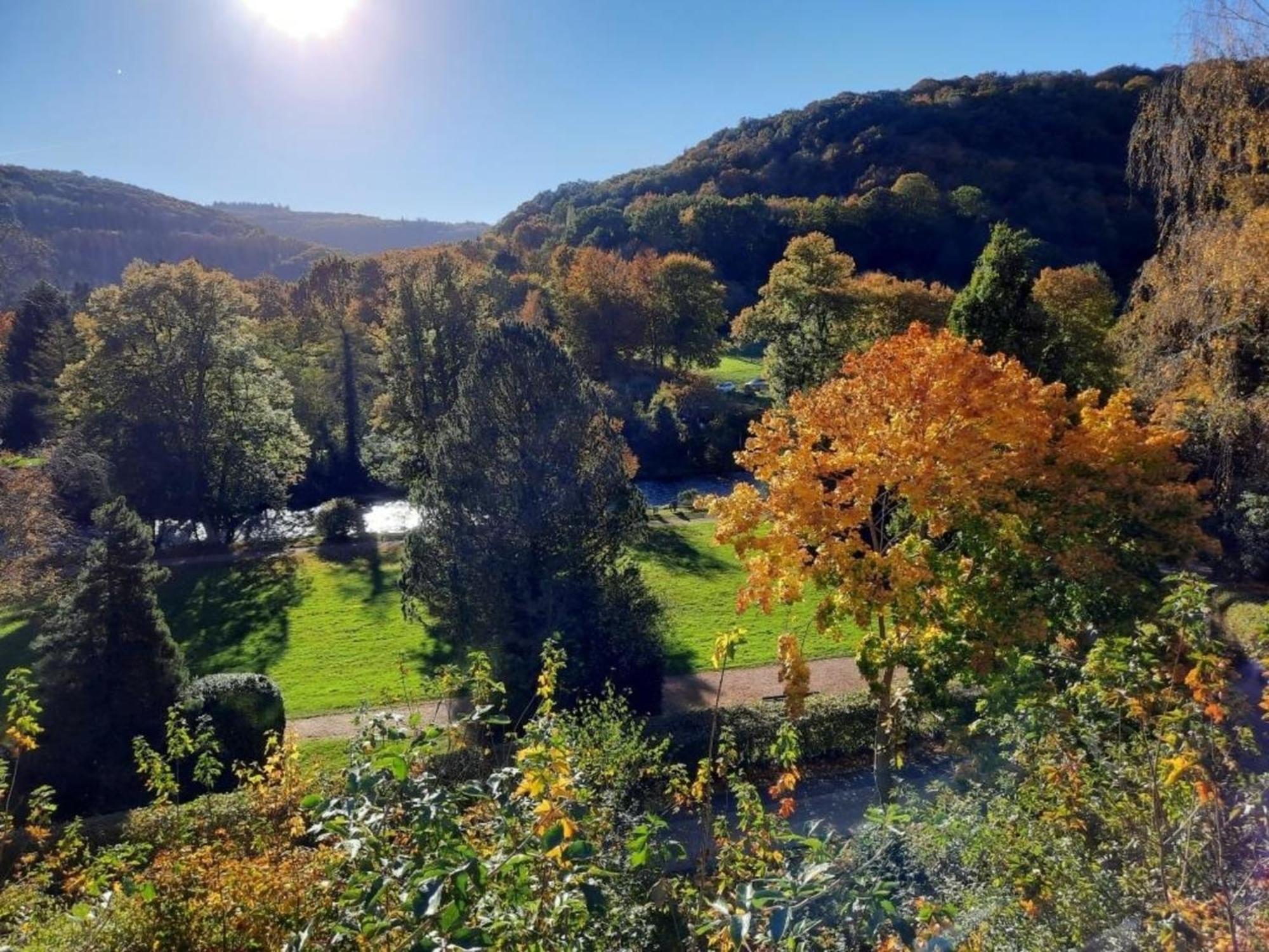 Ferienhaus &#039Freund Am See&#039 3 ハイムバッハ エクステリア 写真